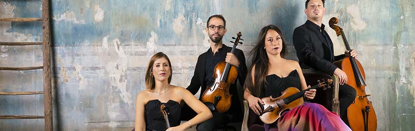 Forma, spazio, colore. Quartetto Indaco